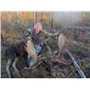 Image 1 : *Alberta - 6 Day - Rut Moose Hunt for One Hunter