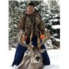 Image 1 : *Purchaser's Choice - Whitetail Deer Hunt for 1 Hunter and 1 Non-hunter or Weekend Getaway for 4