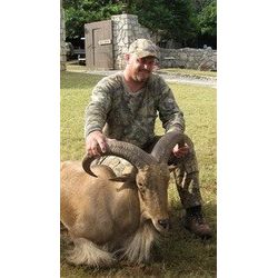 *Texas - 5 Day - Aoudad Hunt for One Hunter