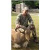 Image 1 : *Texas - 5 Day - Aoudad Hunt for One Hunter
