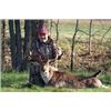 Image 1 : *Missouri - 3 Day - Axis or Fallow Deer Hunt for One Hunter and One Non-hunter