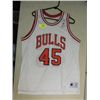 Image 1 : CHAMPION CHICAGO BULLS BASKETBALL JERSEY #45