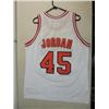 Image 2 : CHAMPION CHICAGO BULLS BASKETBALL JERSEY #45