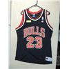 Image 1 : CHAMPION CHICAGO BULLS BASKETBALL JERSEY #23