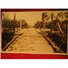 Image 1 : POST CARDS RPPC POST CARDS RPPC SOLDIERS BUILT Bridge Cross Bridge WAR 1