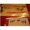 Image 3 : POST CARDS RPPC WAR WORLD 1 MARCHING HORSE PARADE MILITARY PRIDE