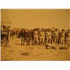 Image 2 : POST CARDS RPPC VINTAGE GROUP OF MILITARY MEN PHOTO WORLD WAR I WW1 AT EASE HORSE