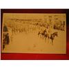 Image 1 : POST CARDS RPPC WAR WORLD 1 MARCHING HORSE PARADE MILITARY PRIDE