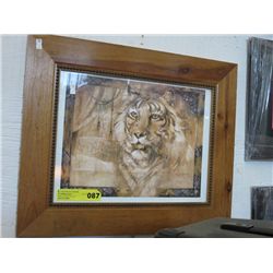 Wood framed print of a tiger