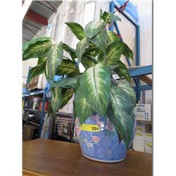 Large glazed plant pot