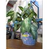 Image 1 : Large glazed plant pot
