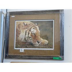 "Beauty at Rest" by Denis Mayer Jr. - Framed print