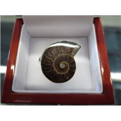 Ammonite shell ring, sterling silver setting