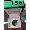 Image 2 : Ammonite shell ring, sterling silver setting