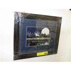 Framed Haida inspired print