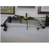 Image 1 : Compound bow with six arrows