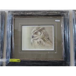 "Samantha - Great Horned Owl"