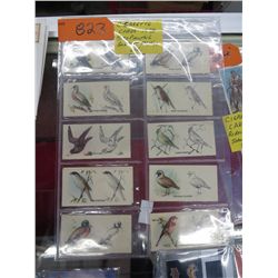 1938 Cigarette Cards Bird Painting