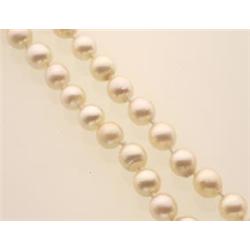 CULTURED PEARL NECKLACE A single strand of forty-five semi-round matched cultured pearls measurin...