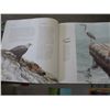 Image 2 : Book - "Birds" by Robert Bateman