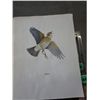 Image 2 : 1950's James Fenwick Lansdowne print folio