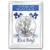 2013 1 oz Silver Eagle in It's a Boy! Design Harris Hol