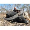 Image 1 : 6-day Australia Water Buffalo Hunt for One Hunter and One Observer
