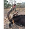 Image 1 : 7-day Tanzania Sable Hunt for One Hunter and One Observer