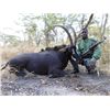 Image 2 : 7-day Tanzania Sable Hunt for One Hunter and One Observer