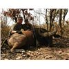 Image 3 : 10-day Cameroon Roan and Savanna Buffalo Hunt for One Hunter and One Observer