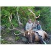 Image 1 : 10-day Archery Vancouver Island Roosevelt Elk Hunt for One Archery Hunter