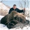 Image 1 : 10-day Kamchatka brown bear hunt for one hunter
