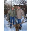 Image 1 : 5-day, Montana Rocky Mountain Elk Hunt for One Hunter and Observer