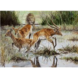 Original Oil Painting