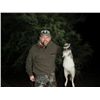 Image 3 : 6-day Argentina Mixed-bag Hunt for Four Hunters