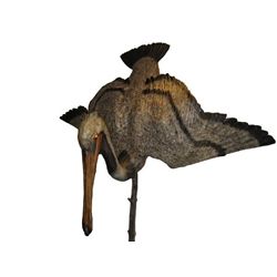 Life-size Bronze Sculpture