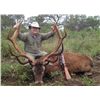 Image 1 : 5-day Argentina Big Game Hunt for Four Hunters