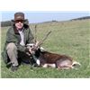 Image 2 : 5-day Argentina Big Game Hunt for Four Hunters