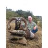Image 1 : 5-day Gold-Medal European Mouflon Hunt in Spain for One Hunter and One Observer