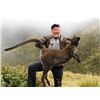 Image 3 : 5-day New Zealand Trophy Tahr, Fallow Deer and Unlimted Wallabies for Two Hunters