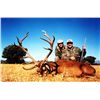 Image 1 : 5-day Spanish Hunt for Choice of 1 Species for One Hunter and One Observer