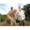 Image 2 : 10-day South Africa Safari for Two Hunters and Two Observers