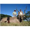 Image 3 : 10-day South Africa Safari for Two Hunters and Two Observers