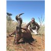 Image 2 : 7-day Namibia Plains Game Hunt for Two Hunters and Two Observers