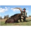 Image 1 : 8-day Zululand, South Africa Plains Game Hunt for Two Hunters and Two Observers