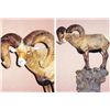 Image 1 : Wildlife Bronze Sculpture