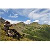 Image 2 : 9-day British Columbia Moose or Mountain Goat Hunt for One Hunter