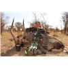 Image 1 : 10-day South African Plains Game Hunt for One Bowhunter and One Observer