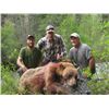 Image 1 : 5-day Idaho Bear and Wolf Hunt for Two Hunters