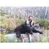 Image 2 : 5-day Idaho Bear and Wolf Hunt for Two Hunters